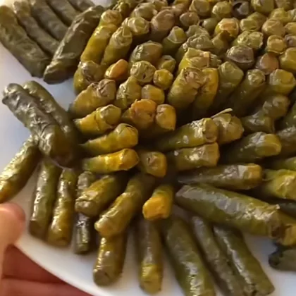 Zeytinyağlı Yaprak Sarma